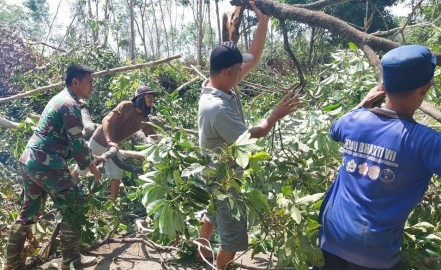 Respon Cepat Babinsa Koramil 406-05/Muara Kelingi Atasi Pohon Tumbang