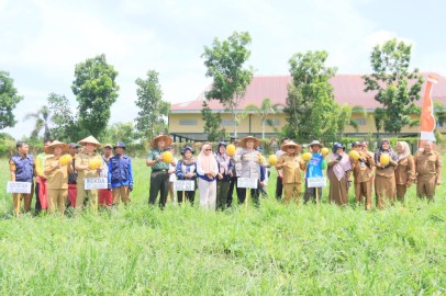 Dandim 0406/Lubuk Linggau Bersama Forkopimda Kota Lubuk Linggau Panen Raya Padi dan Semangka