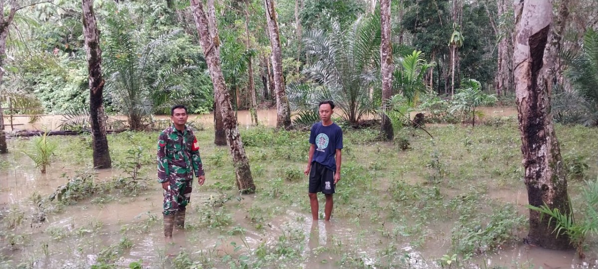 Wujud Perhatian Babinsa Pantau Lokasi rawan Banjir di Wilayah Binaan