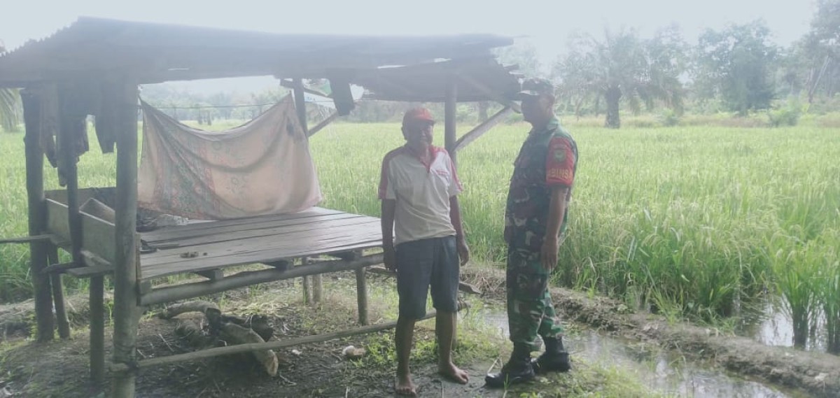 Komsos Dengan Petani pagi Ini Yang Disampaikan Sertu Fajri Maulani
