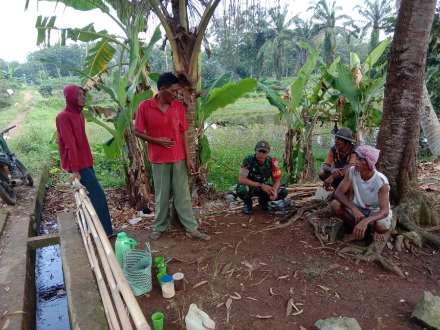 Babinsa Koramil 406-06/Tugumulyo Melaksanakan komsos Di wilayah Binaan.