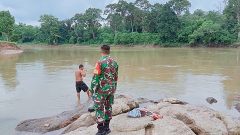 Babinsa Koramil 406-01/rawas ulu monitoring kegiatan gulbencal Di Desa binaan.