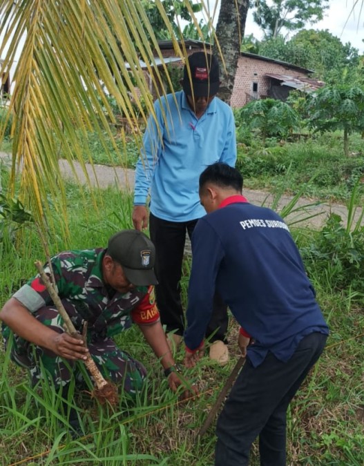 Dukung Penghijauan Di Wilayah Binaan, Babinsa Koramil 406-06/Tugumulyo Bersama Warga Tanam Pohon