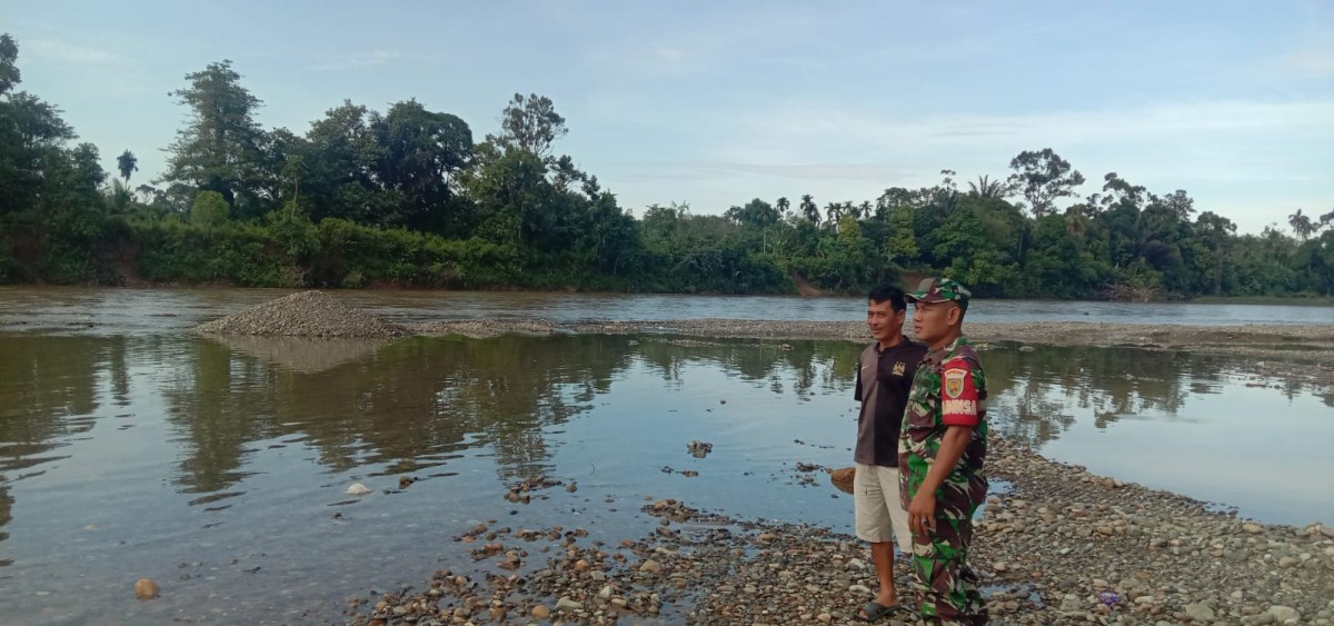 Babinsa Koramil 406-01/rawas ulu monitoring kegiatan gulbencal Di Desa binaan.