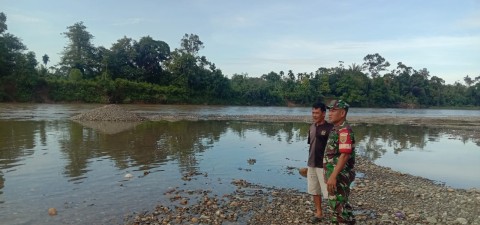 Babinsa Koramil 406-01/rawas ulu monitoring kegiatan gulbencal Di Desa binaan.