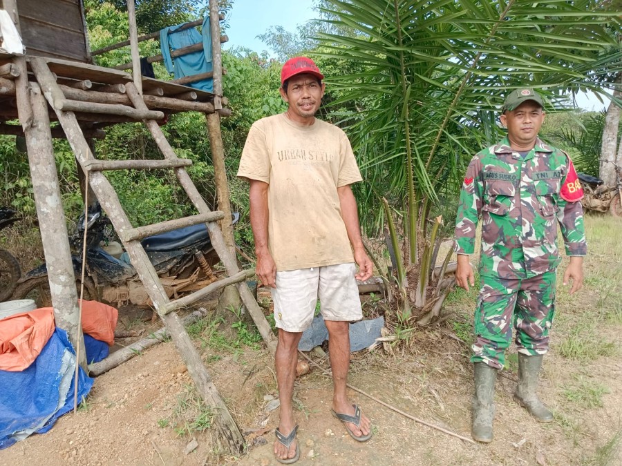 Babinsa turun ke wilayah Berikan Motivasi Pada Petani Dalam Bercocok Tanam