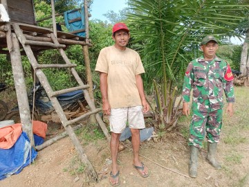 Babinsa turun ke wilayah Berikan Motivasi Pada Petani Dalam Bercocok Tanam