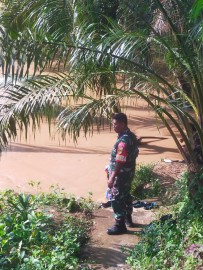 Babinsa Koramil 406-09/Terawas Serka Bambang Melaksanakan Kegiatan Gulbencal Di Wilayah binaan.