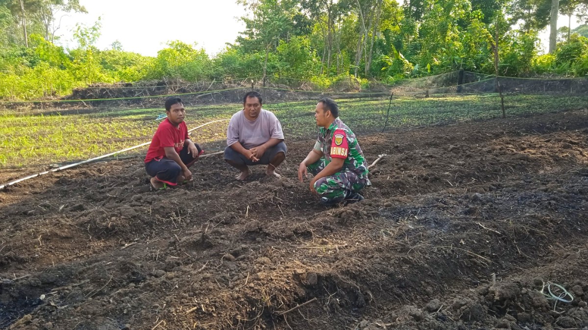Tingkatkan Keamanan Babinsa Koramil 406-09/Terawas Sertu Zainal Abidin Melaksanakan Komsos Di Wilayah Binaaan.
