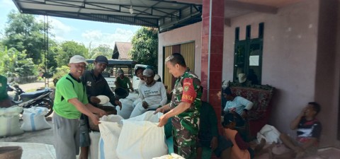 Babinsa Wujudkan Ketahanan Pangan di Wilayah Binaan komsos dengan masyarakat yg sedang panen padi.