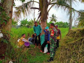 Dengan Memberikan Edukasi Cara Tanam Yang Benar Kepada Petani, Babinsa Berharap Hasil Panen Lebih Meningkat