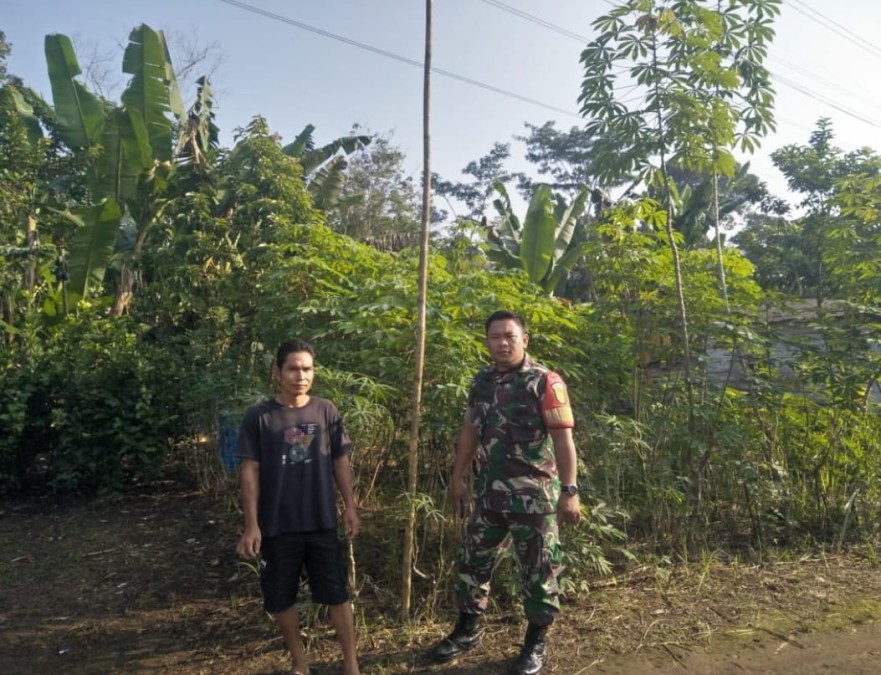 Melalui Komsos, Babinsa Koramil 06/Tugumulyo Kopda Septiansyah Mengajak Warga Binaan Untuk Memanfaatkan Lahan Kosong
