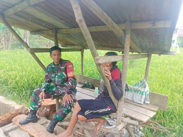 Melalui Komsos, Babinsa berikan Motivasi kepada Petani padi di wilayah binaan