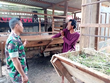 Babinsa Komsos Dengan Peternak Kambing Di Desa Binaan