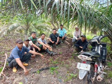 Siap siaga kebakaran hutan, Babinsa melaksanakan komsos bahayanya membuka lahan dengan cara di bakar