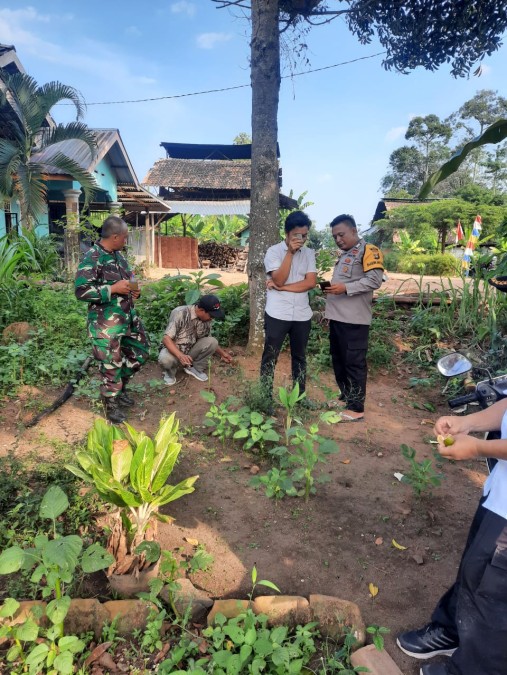 Melalui Komsos, Babinsa Koramil 406-06/Tugumulyo Mengajak Warga Binaan Untuk Memanfaatkan Lahan Kosong.