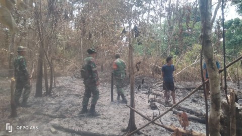 Pastikan Api Benar-benar Padam Babinsa Koramil 406-05/Muara Kelingi Bersama Warga Menyusuri Lahan Yang Terbakar