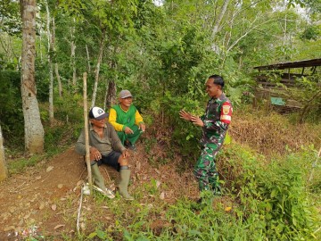UNTUK MENINGKATKAN PENDAPATAN ,, BABINSA KOPTU SISWANTO BERIKAN SOLUSI DAN MASUKAN KEPADA PETANI KARET