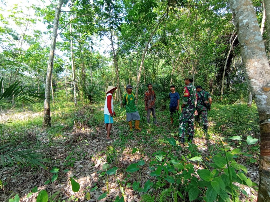 Babinsa Laksanakan patroli bersama masyarakat di kebun Masyarakat cegah karhutla