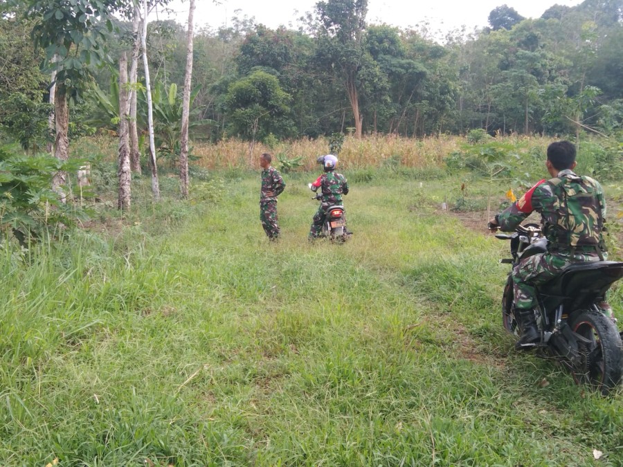 Koramil 406-10/Lubuk Linggau Timur Gelar Patroli Karhutbunlah di Kota Lubuklinggau