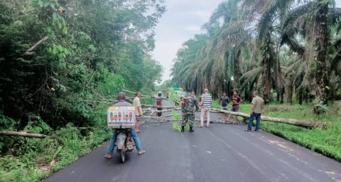 Angin Kencang Tumbangkan Pohon di Jalan, Babinsa Koramil 406-02/Rawas Ilir Bantu Bersihkan Lokasi