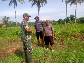 Babinsa Koramil 406-01/Rawas Ulu Laksanakan Komsos Ketahanan Pangan di Desa Kuto Tanjung