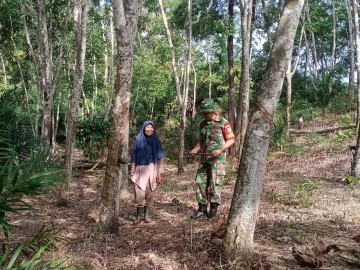 Babinsa Koramil 406-07/Jayaloka Jalin Komsos dengan Petani Karet di Desa Rantau Alih