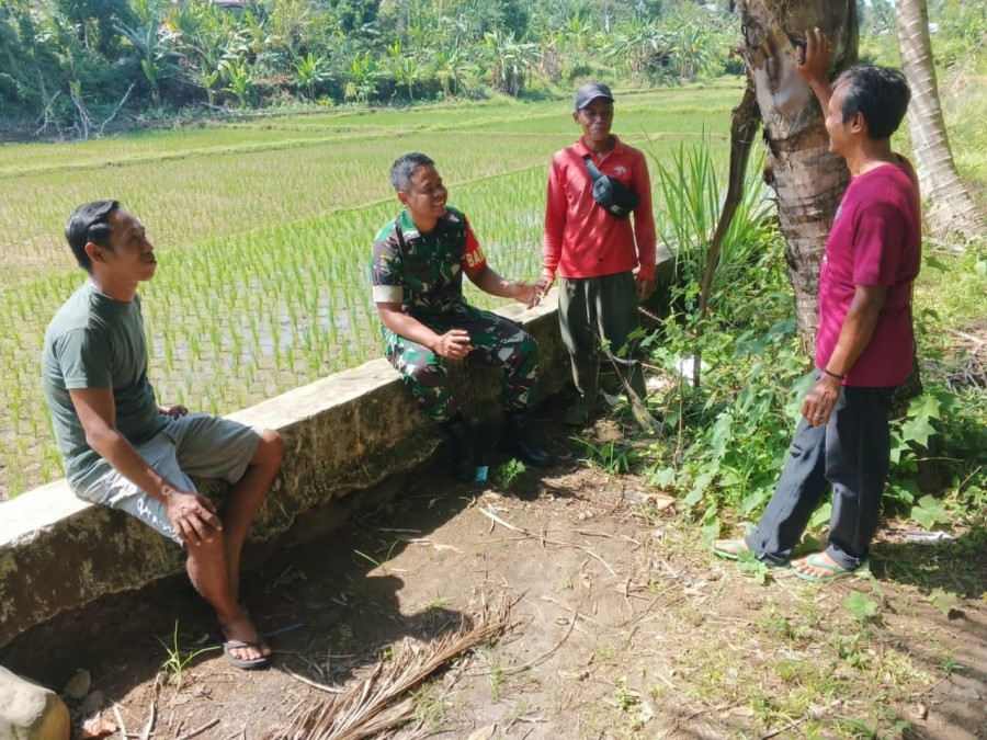 Babinsa Koramil 406-08/Lubuk Linggau Lakukan Komsos Bahas Kondisi Pertanian.