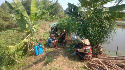 Babinsa Koramil 406-06/Tugumulyo Laksanakan Komsos dengan Warga di Areal Persawahan Mangunharjo