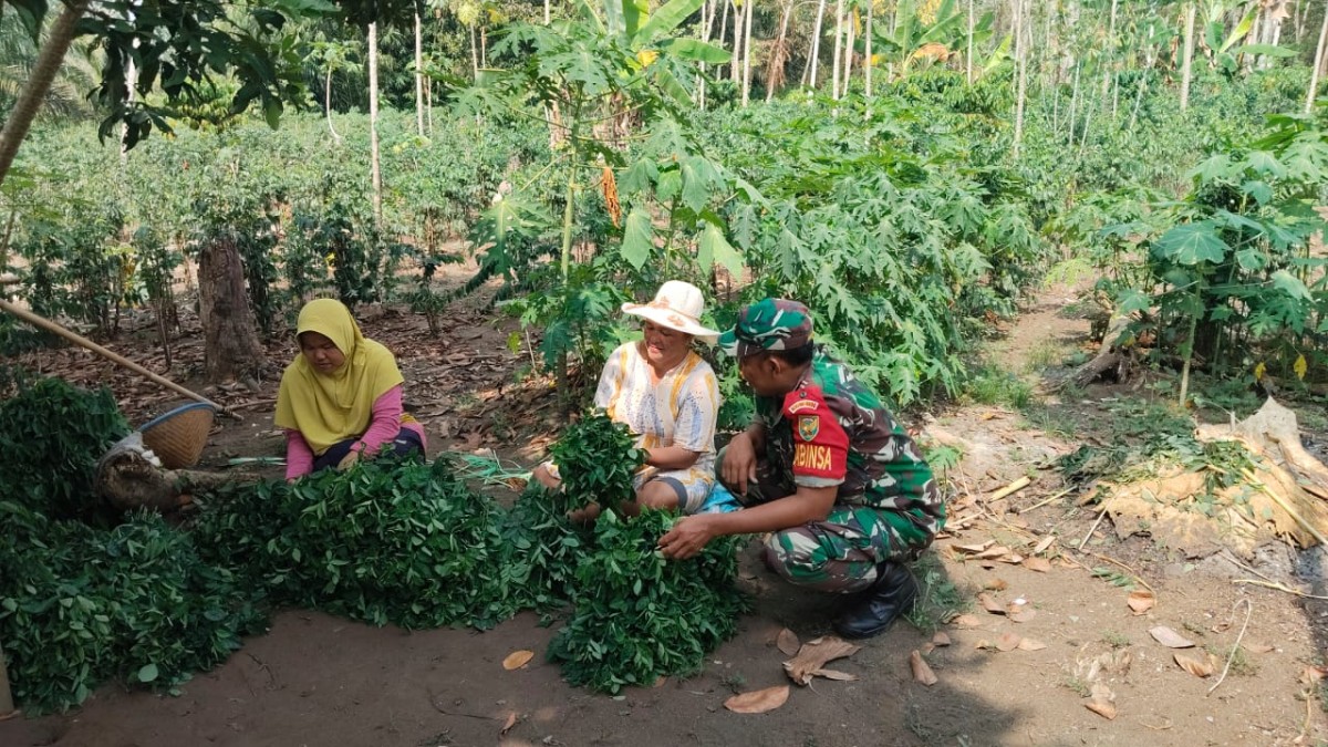 Babinsa Koramil 406-10/Linggau Timur Gelar Komsos dengan Warga Upaya Meningkatkan Ketahanan Pangan
