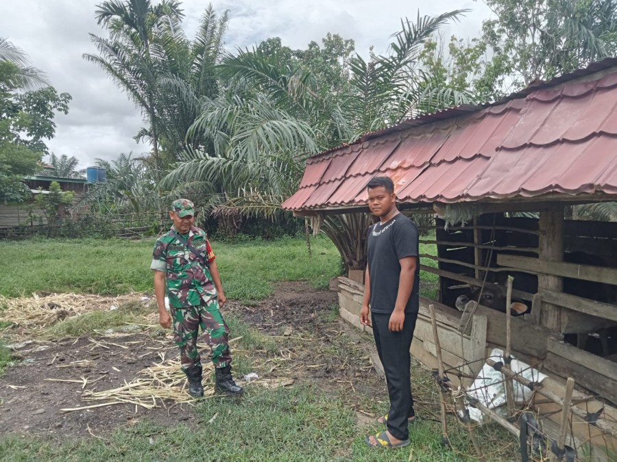 Babinsa Koramil 406-07/Jayaloka Jalin Komsos dengan Masyarakat Peternak sapi di Desa Rantau Alih