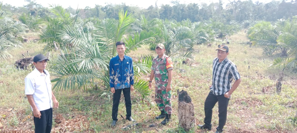 Babinsa Koramil 406-07/Jayaloka Sertu M. Daud Jalin Komsos dengan Petani Sawit di Desa binaan