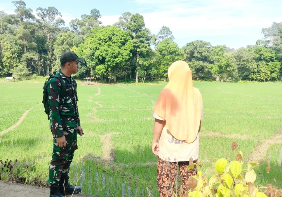 Babinsa Koramil 406-01/Rawas Ulu Laksanakan Komsos Tentang Ketahanan Pangan di Desa Pulau Kidak