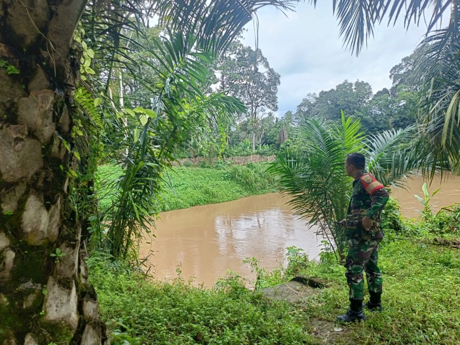 Babinsa Koramil 406-06/Tugumulyo Lakukan Pengecekan Debit Air di Wilayah Rawan Banjir Desa Widodo