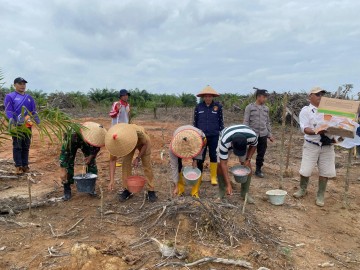 Babinsa Koramil 406-04/Muara Lakitan Serda Joni H. Hadiri Penanaman Jagung Serentak Bersama PT AMS dalam Rangka Meningkatkan Ketahanan Pangan