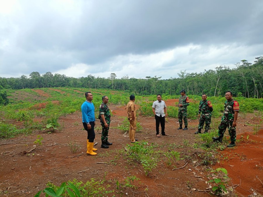 Babinsa Koramil 406-06/Tugumulyo Bersama Perangkat Desa Lakukan Pengecekan Lahan Persiapan Tanam Padi Gogo