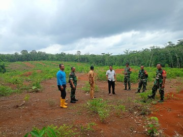 Babinsa Koramil 406-06/Tugumulyo Bersama Perangkat Desa Lakukan Pengecekan Lahan Persiapan Tanam Padi Gogo