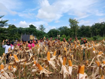 Serka Bambang dan Serda Samsul Hadiri Undangan di Polsek Megang Sakti untuk Penguatan Program Pekarangan Pangan (Dariling Online) di Kabupaten Musi Rawas