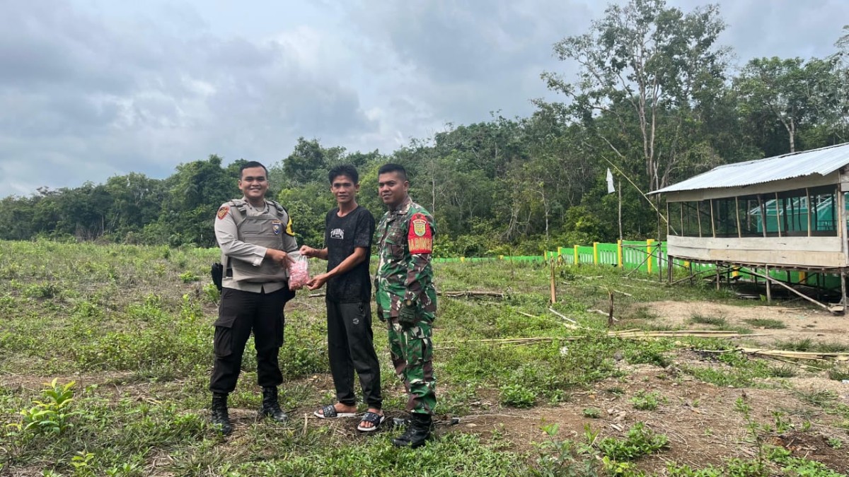 Babinsa Koramil 406-03/Rupit dan Anggota Polsek Karang Jaya Berikan Bibit Jagung kepada Warga Desa Embacang Baru