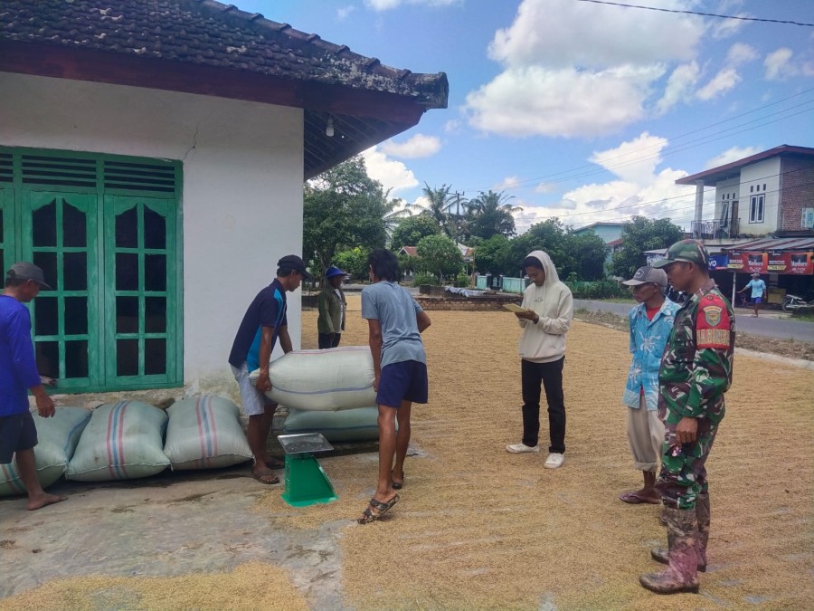 Babinsa Koramil 406-04/Muara Lakitan Sosialisasikan Penyerapan Gabah ke Bulog Bersama Petani Desa Wonosari
