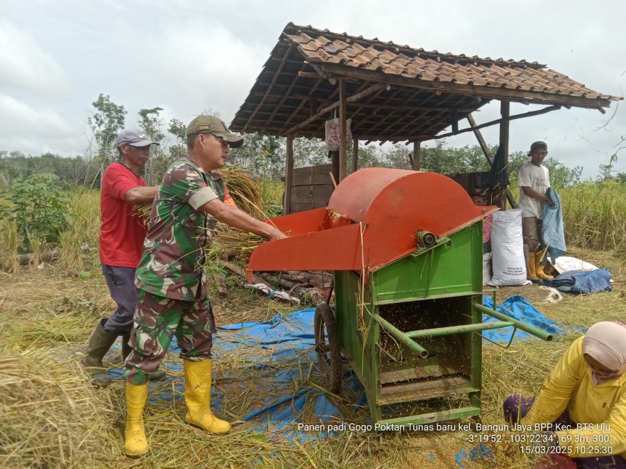 Babinsa Koptu Adim Lakukan Pendampingan Kepada Petani Dukung Ketahanan Pangan Nasional