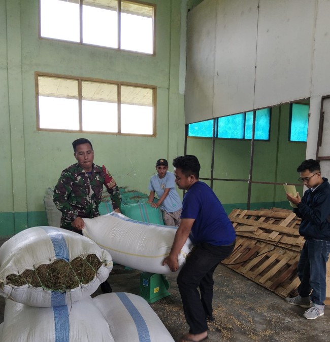 Babinsa Koramil 406-06/Tugumulyo Monitoring Penyerapan Gabah Kering di Kelurahan Srikaton