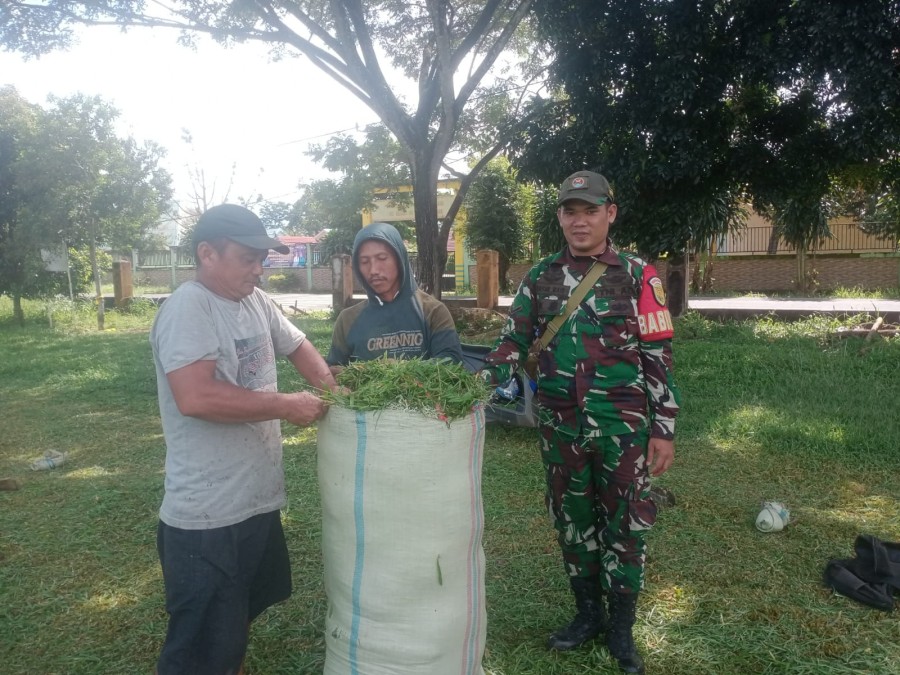 Babinsa Serda Jasmi Rais Tingkatkan Pembinaan Teritorial Melalui Komsos