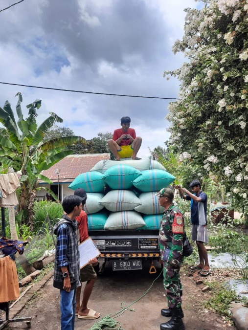 BABINSA KORAMIL 406-06/TUGUMULYO MONITORING PENYERAPAN GABAH KERING DI DESA E WONOKERTO