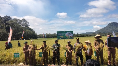 Danramil 406-02/Rawas Ilir Hadiri Zoom Panen Raya Padi Serentak Satu Juta Hektar