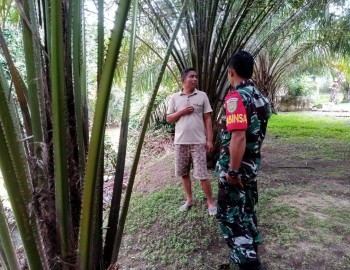 Babinsa Koramil 406-07/Jayaloka Jalin Komsos dengan Petani Kelapa Sawit di Desa Sukakarya