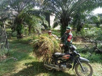 Babinsa Koramil 406-04/Muara Lakitan Laksanakan Komsos di Wilayah Kelurahan Megang Sakti I