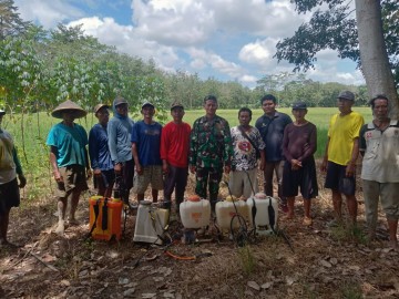 Babinsa Laksanakan Pendampingan Petani dalam Penyemprotan Pestisida pada Tanaman Padi