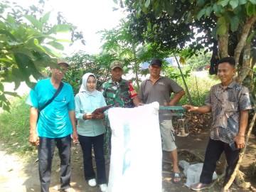 Babinsa Serka Mardianto Dampingi Petani Salurkan Gabah ke Bulog, Serapan Gabah Petani Ditingkatkan