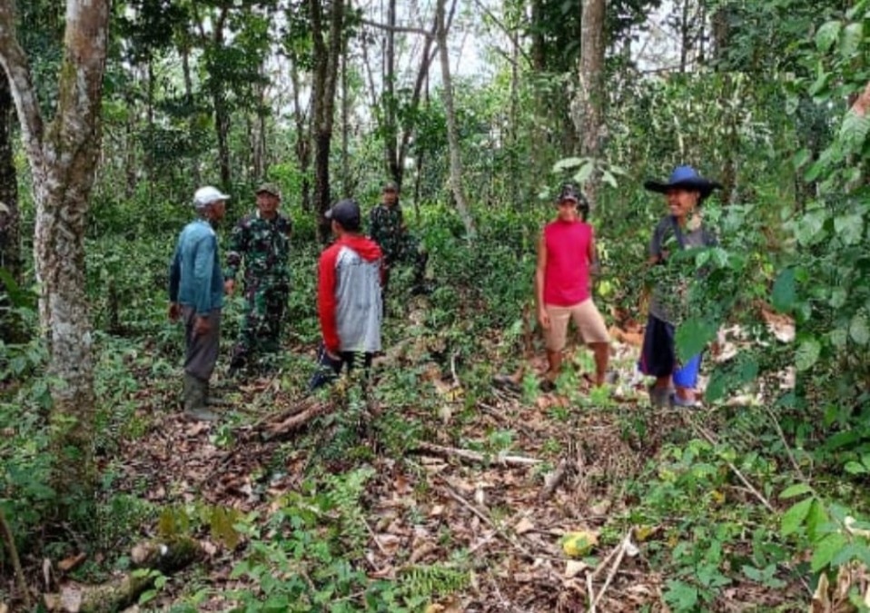 Babinsa Koramil 406-06/Tugumulyo Bersama Warga Laksanakan Patroli Karhutla dan Sosialisasi di Desa Purwodadi